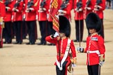 during Trooping the Colour {iptcyear4}, The Queen's Birthday Parade at Horse Guards Parade, Westminster, London, 9 June 2018, 11:21.