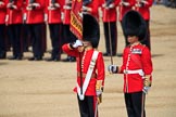 during Trooping the Colour {iptcyear4}, The Queen's Birthday Parade at Horse Guards Parade, Westminster, London, 9 June 2018, 11:21.