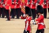 during Trooping the Colour {iptcyear4}, The Queen's Birthday Parade at Horse Guards Parade, Westminster, London, 9 June 2018, 11:22.