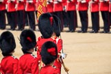 during Trooping the Colour {iptcyear4}, The Queen's Birthday Parade at Horse Guards Parade, Westminster, London, 9 June 2018, 11:22.