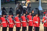 during Trooping the Colour {iptcyear4}, The Queen's Birthday Parade at Horse Guards Parade, Westminster, London, 9 June 2018, 12:00.