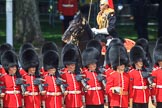 during Trooping the Colour {iptcyear4}, The Queen's Birthday Parade at Horse Guards Parade, Westminster, London, 9 June 2018, 12:01.